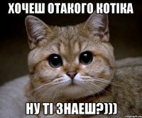 хочеш отакого котіка ну ті знаеш?)))