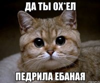 да ты ох*ел педрила ебаная