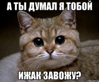 а ты думал я тобой ижак завожу?