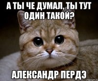 а ты че думал, ты тут один такой? александр пердэ