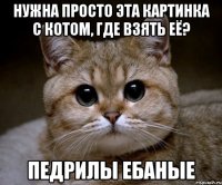 нужна просто эта картинка с котом, где взять её? педрилы ебаные