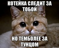 котейка следит за тобой но темболее за тунцом