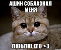 ашин соблазнил меня люблю его <3