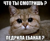 что ты смотришь ? педрила ебаная ?