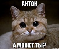 антон а может ты?