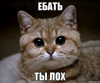 ебать ты лох