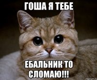 гоша я тебе ебальник то сломаю!!!