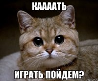 каааать играть пойдем?