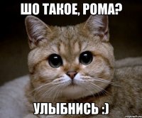 шо такое, рома? улыбнись :)