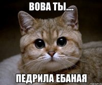 вова ты.... педрила ебаная