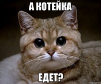 а котейка едет?