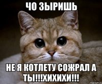 чо зыришь не я котлету сожрал а ты!!!хихихи!!!