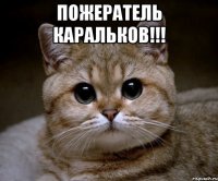 пожератель каральков!!! 