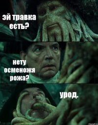 эй травка есть? нету осменожя рожа? урод.