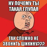 ну почему ты такая глупая так сложно не звонить шикину???