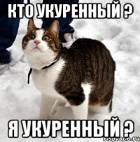 кто укуренный ? я укуренный ?