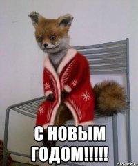  с новым годом!!!