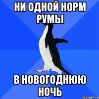 ни одной норм румы в новогоднюю ночь