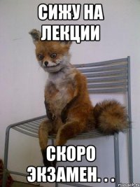 сижу на лекции скоро экзамен. . .