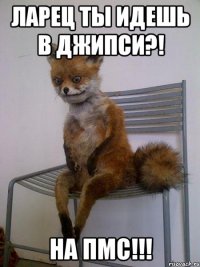 ларец ты идешь в джипси?! на пмс!!!