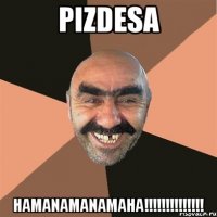 pizdesa hamanamanamaha!!!