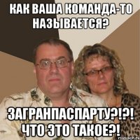 как ваша команда-то называется? загранпаспарту?!?! что это такое?!