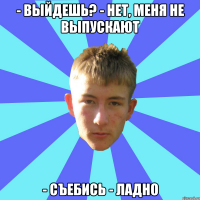 - выйдешь? - нет, меня не выпускают - съебись - ладно