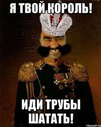 я твой король! иди трубы шатать!