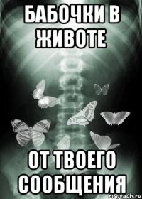 бабочки в животе от твоего сообщения