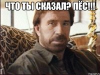 что ты сказал? пёс!!! 