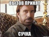 вызов принят сучка