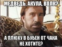 медведь, акула, волк? а плюху в бубен от чака не хотите?