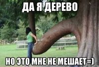 да я дерево но это мне не мешает=)