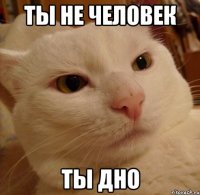 ты не человек ты дно