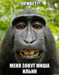 привет! меня зовут миша ильин