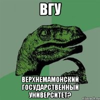 вгу верхнемамонский государственный университет?