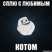 сплю с любимым котом