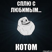 сплю с любимым... котом