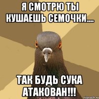 я смотрю ты кушаешь семочки.... так будь сука атакован!!!