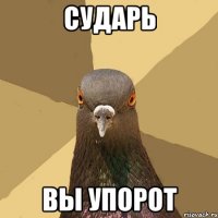 сударь вы упорот