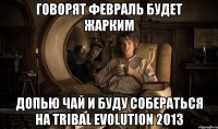 говорят февраль будет жарким допью чай и буду собераться на tribal evolution 2013