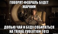 говорят февраль будет жарким допью чай и буду собираться на tribal evolution 2013