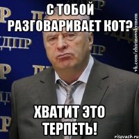 с тобой разговаривает кот? хватит это терпеть!