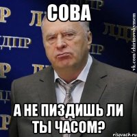 сова а не пиздишь ли ты часом?