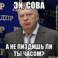 эй, сова а не пиздишь ли ты часом?