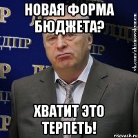 новая форма бюджета? хватит это терпеть!