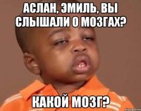 аслан, эмиль, вы слышали о мозгах? какой мозг?