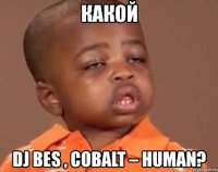 какой dj bes , cobalt – human?