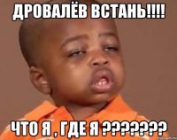 дровалёв встань!!! что я , где я ???