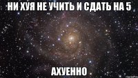 ни хуя не учить и сдать на 5 ахуенно